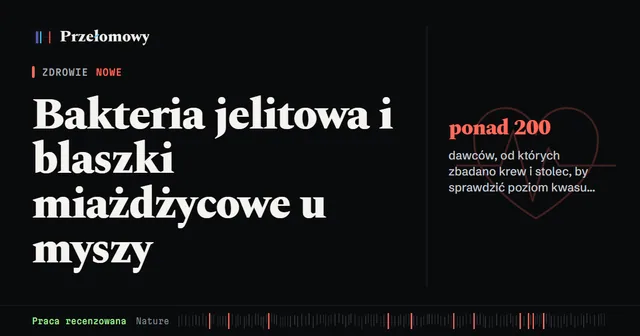 Jelitowa bakteria wytwarza kwas pentadekanowy, który zmniejszał blaszki u myszy