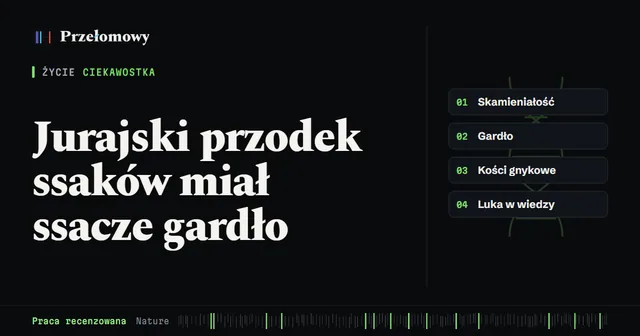 Jurajski przodek ssaków miał gardło i kości gnykowe podobne do ssaczych
