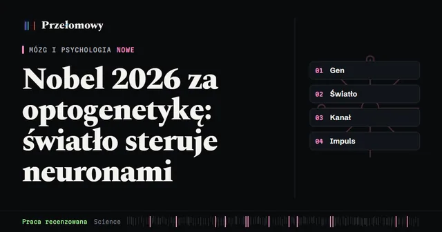 Nobel z medycyny 2026 za optogenetykę: nagrodę dostali Deisseroth, Hegemann i Nagel