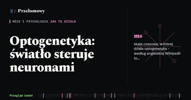 Optogenetyka: jak światło włącza i wyłącza neurony i skąd wzięła się ta metoda
