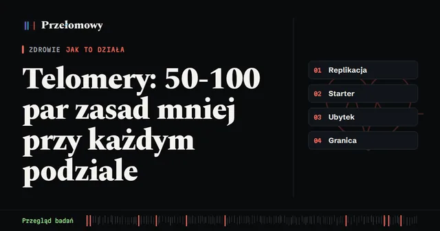 Telomery skracają się o 50-100 par zasad na podział. Co to mówi o starzeniu?