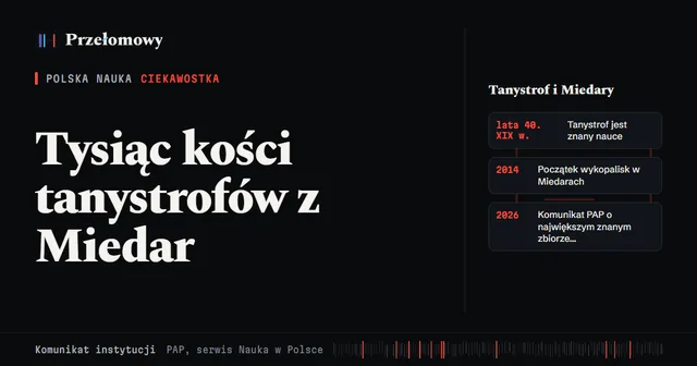 Tysiąc kości sprzed 240 mln lat. Miedary kryją największy znany zbiór tanystrofów