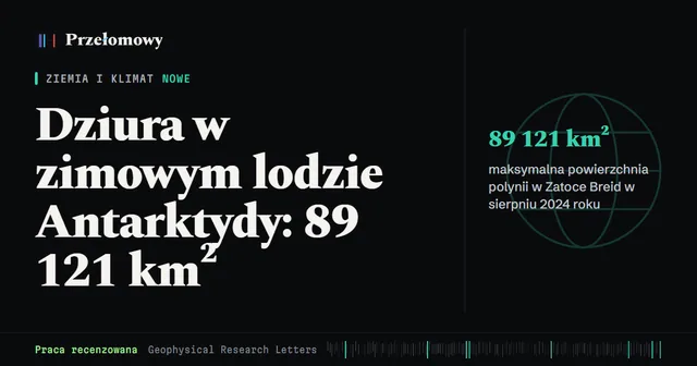 Zimą 2024 w lodzie Antarktydy otworzyła się polynia o powierzchni do 89 121 km²